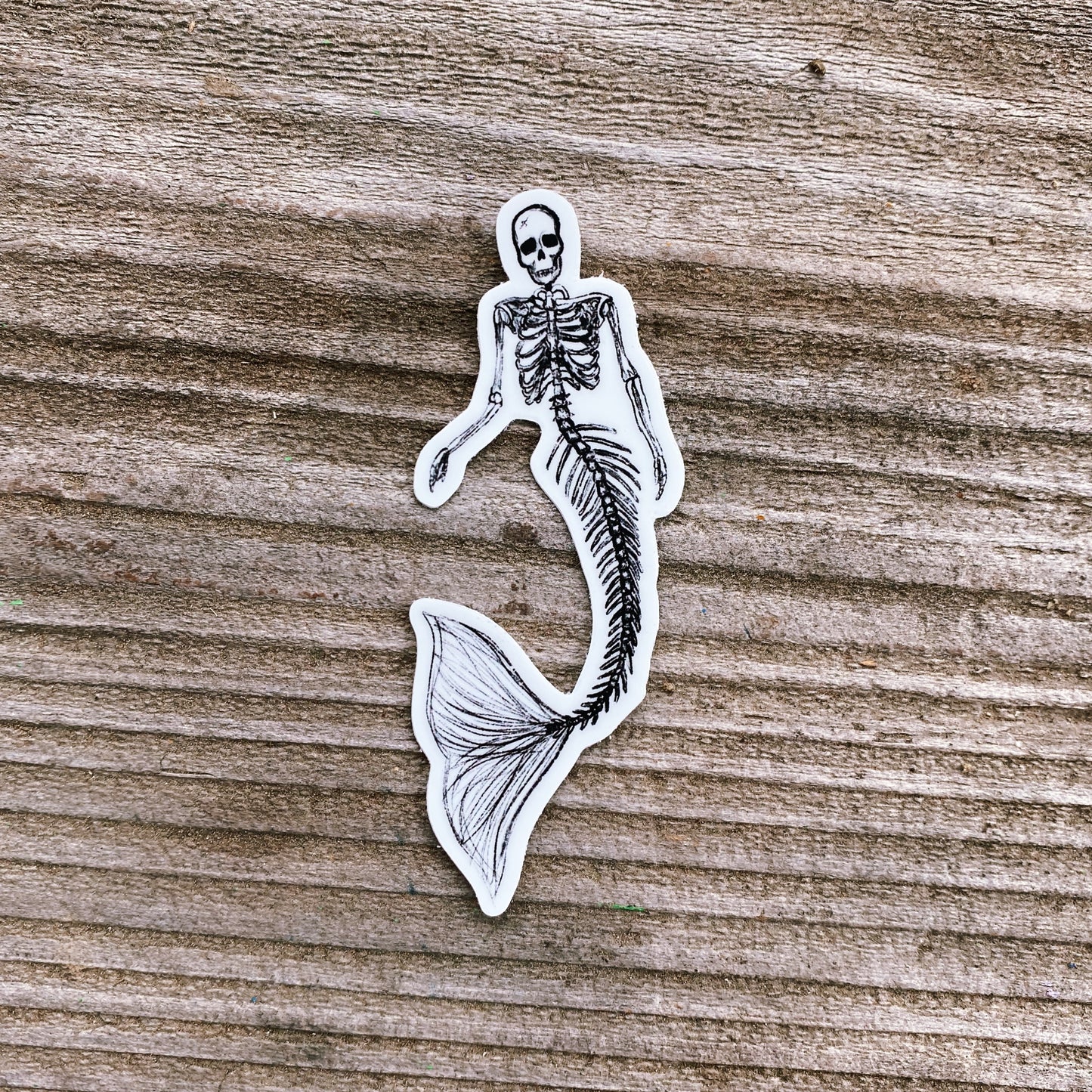Mermaid Skeleton Sketch Sticker